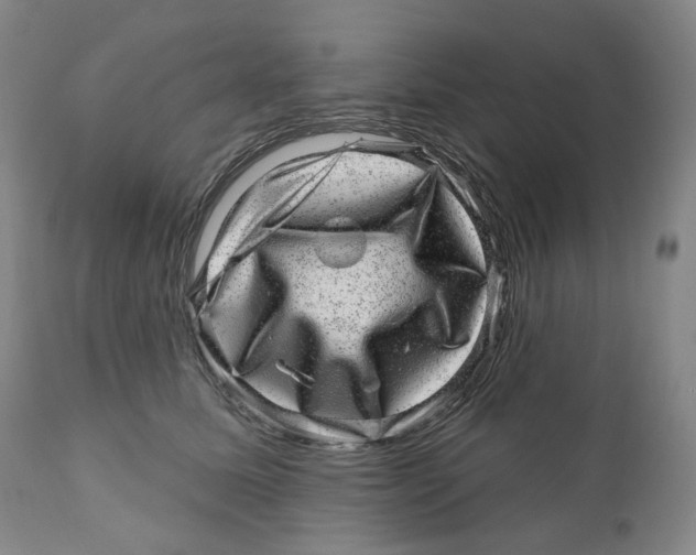 X0000110880611200907161503