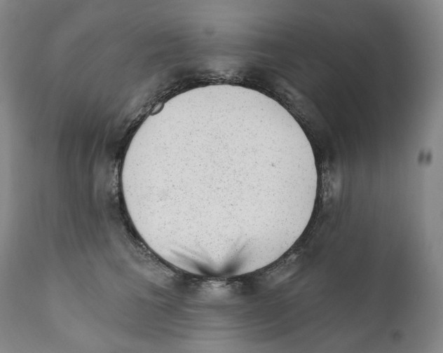 X0000110880613200907161503