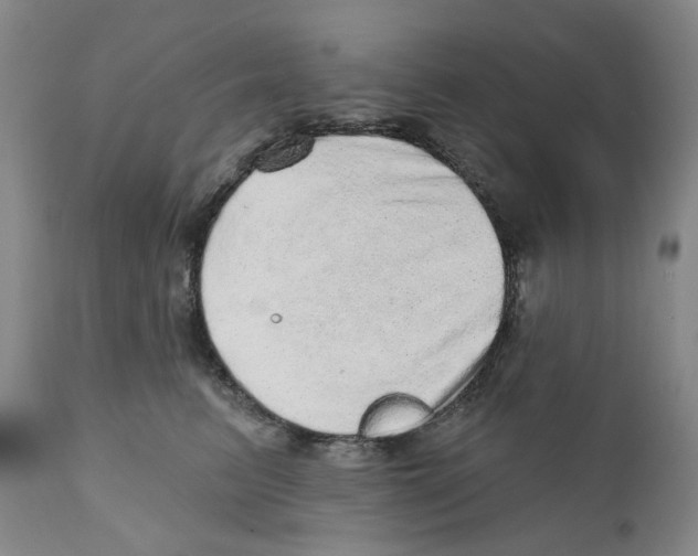 X0000110880615200907161503