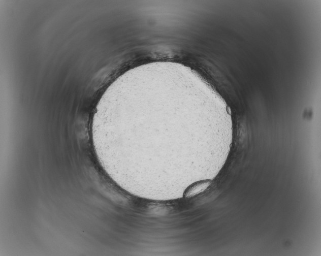 X0000110880616200907161503