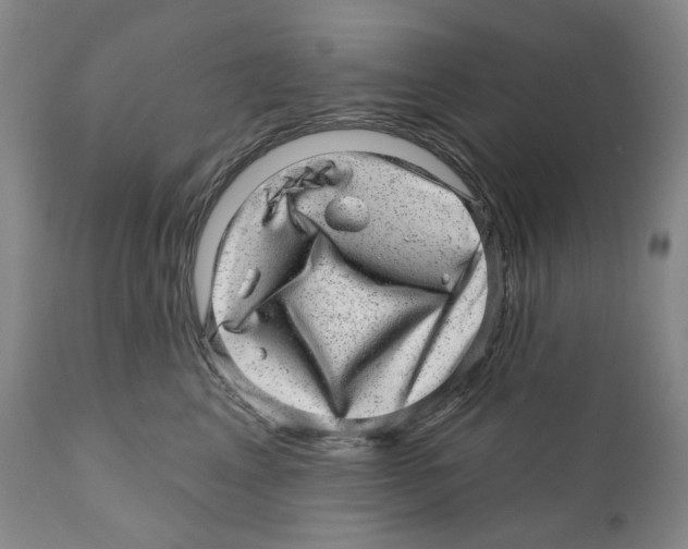 X0000110880617200907161503