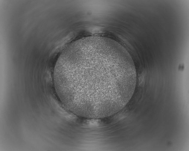 X0000110880618200907161503