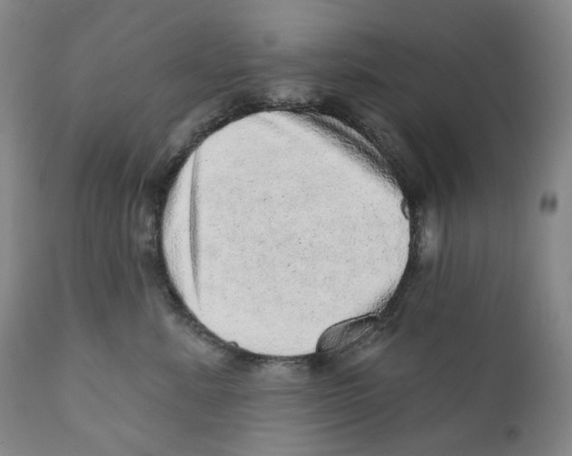 X0000110880619200907161503