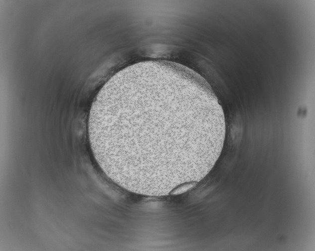 X0000110880620200907161503