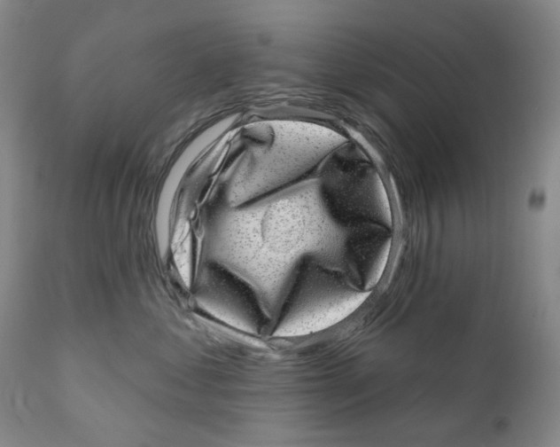 X0000110880621200907161503