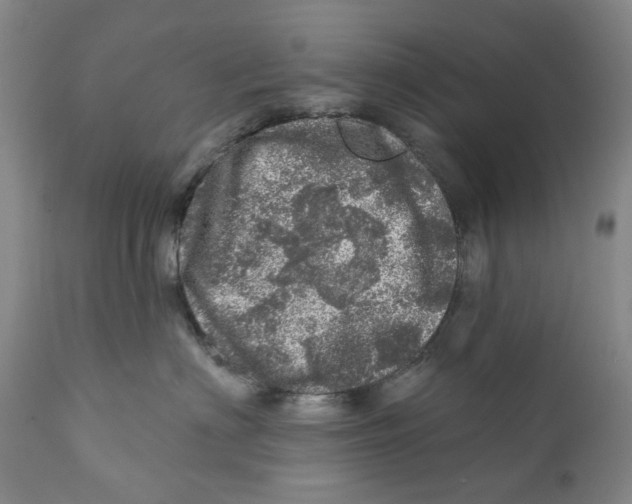 X0000110880622200907161503