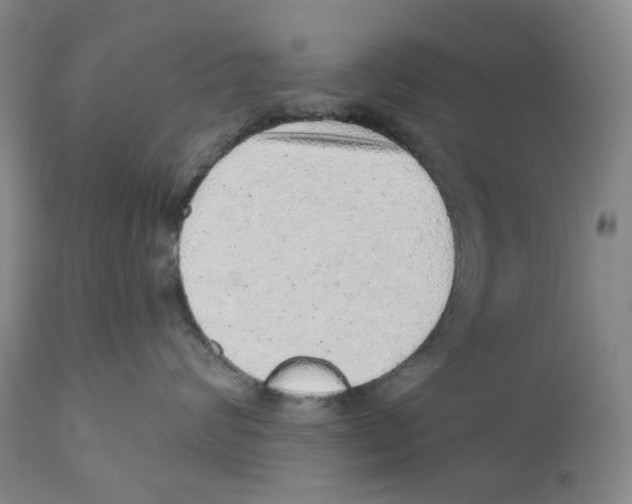 X0000110880624200907161503