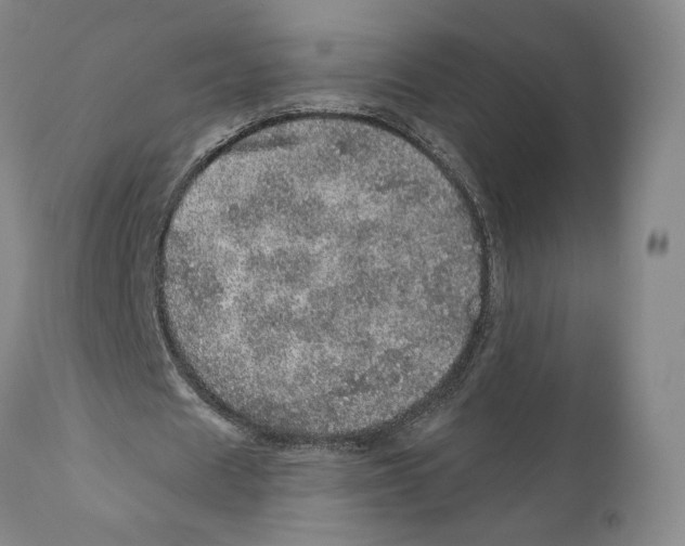 X0000110880625200907161502