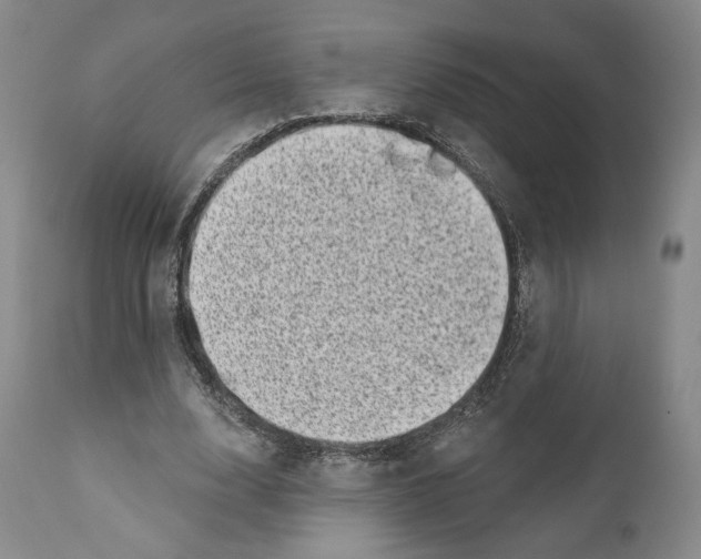 X0000110880632200907161502