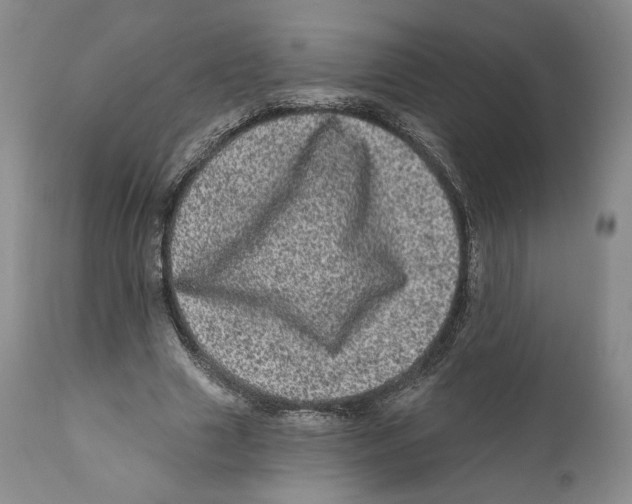 X0000110880633200907161502