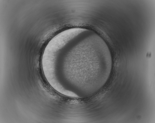 X0000110880635200907161502