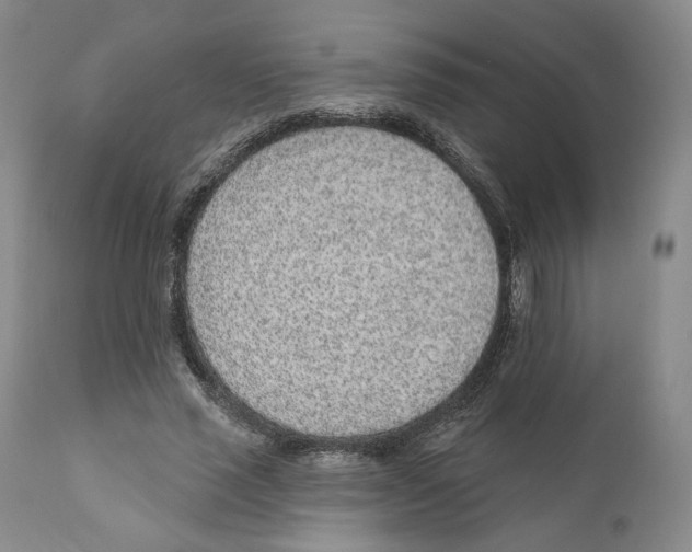 X0000110880637200907161502