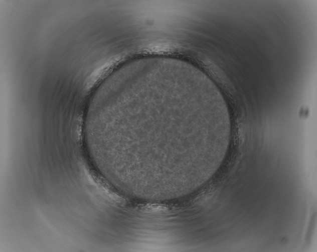 X0000110880640200907161502