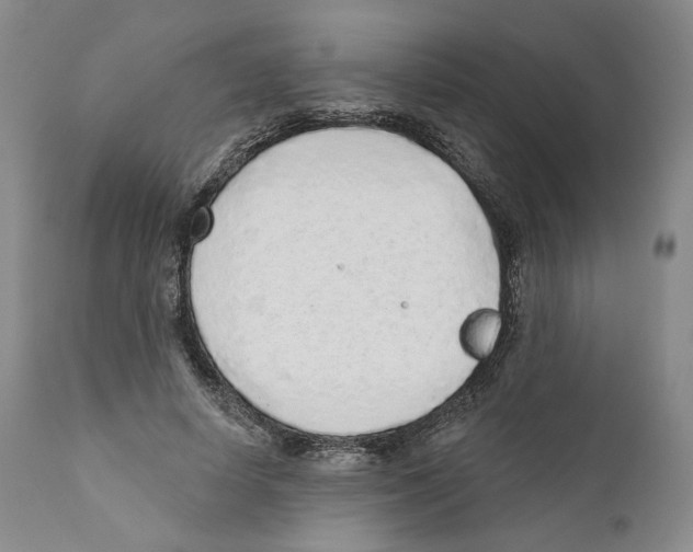 X0000110880642200907161502