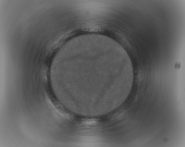 X0000110880643200907161502