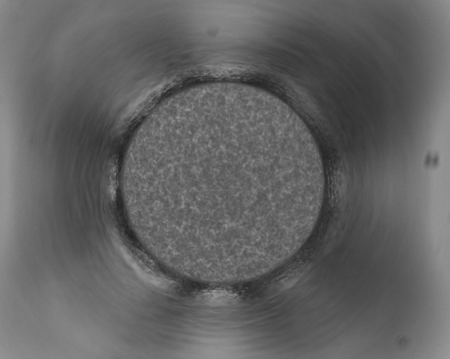 X0000110880644200907161502