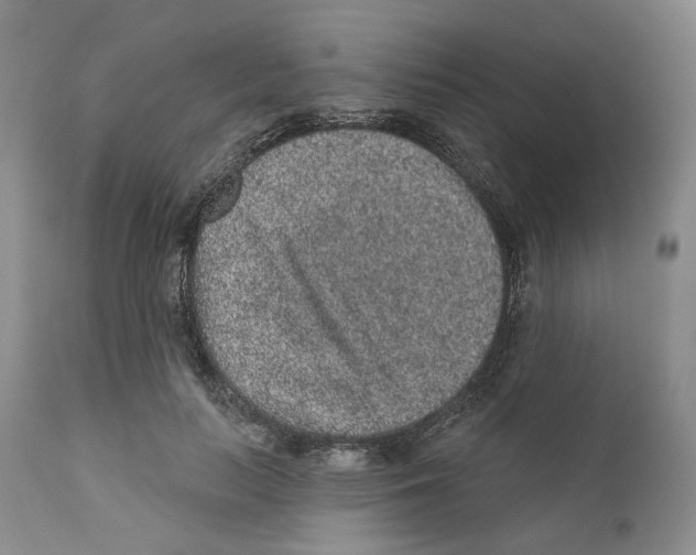 X0000110880647200907161503