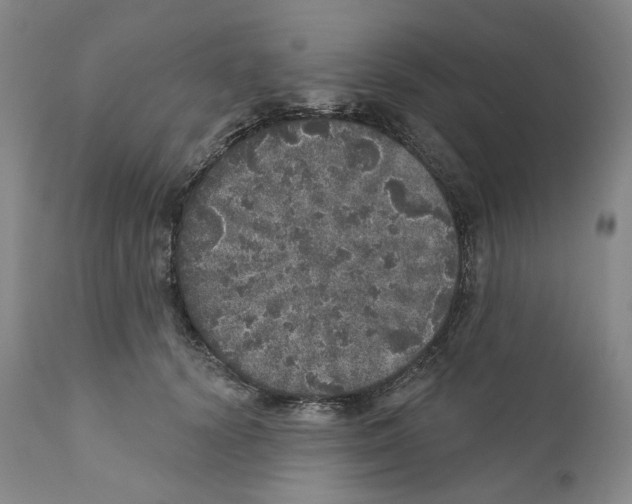 X0000110880656200907161503