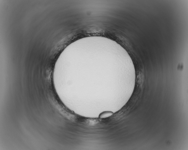 X0000110880662200907161503