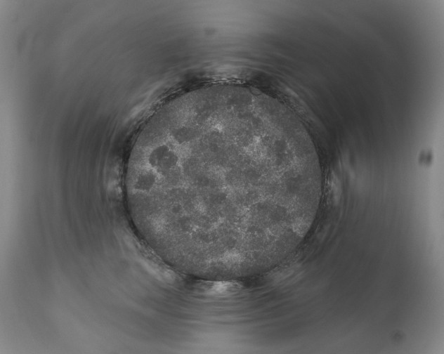 X0000110880663200907161503