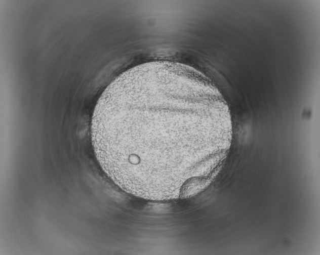 X0000110880665200907161503