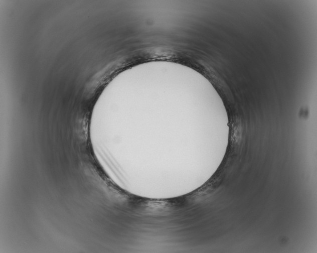 X0000110880666200907161503