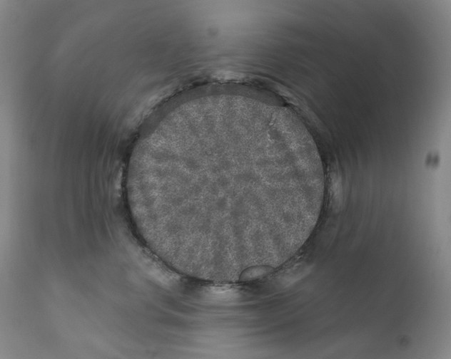 X0000110880668200907161503