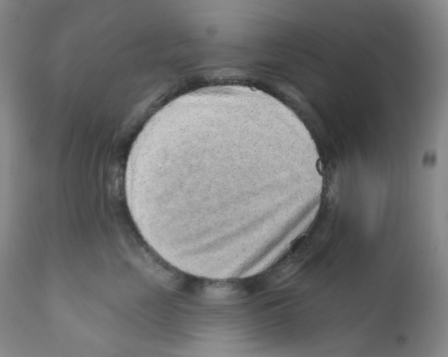 X0000110880669200907161503