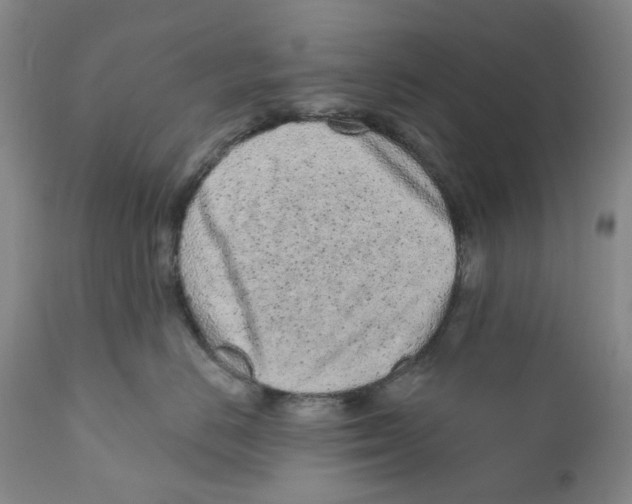 X0000110880670200907161503