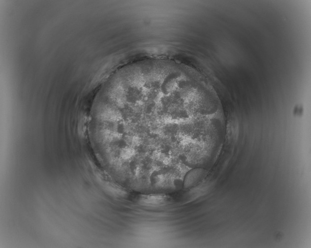 X0000110880671200907161503