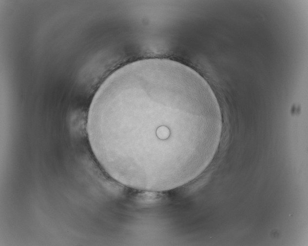 X0000110880672200907161503