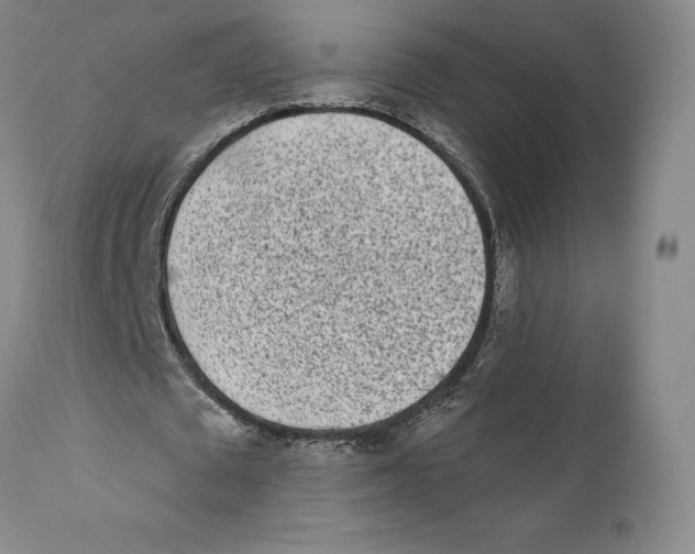 X0000110880673200907161502