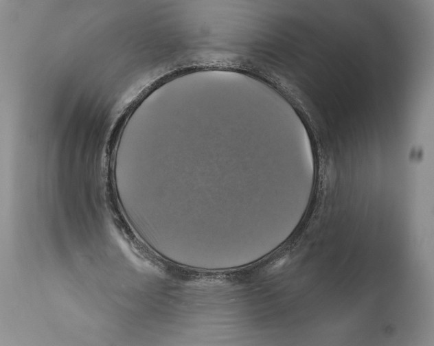 X0000110880674200907161502