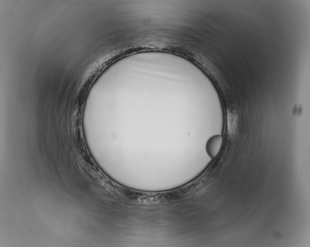 X0000110880675200907161502