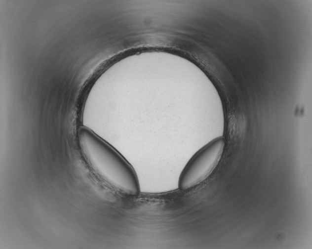 X0000110880676200907161502