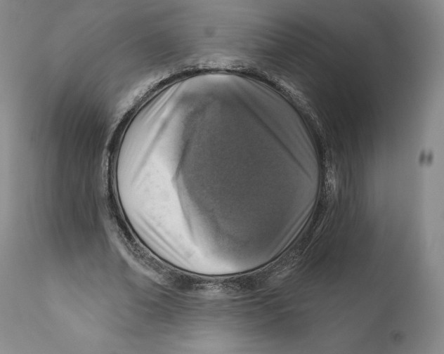 X0000110880678200907161502