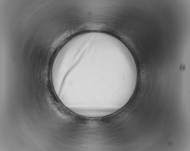 X0000110880682200907161502