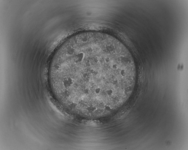 X0000110880683200907161502