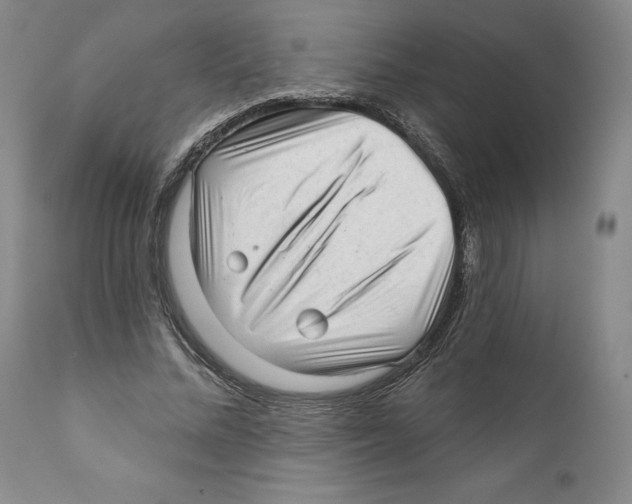 X0000110880684200907161502