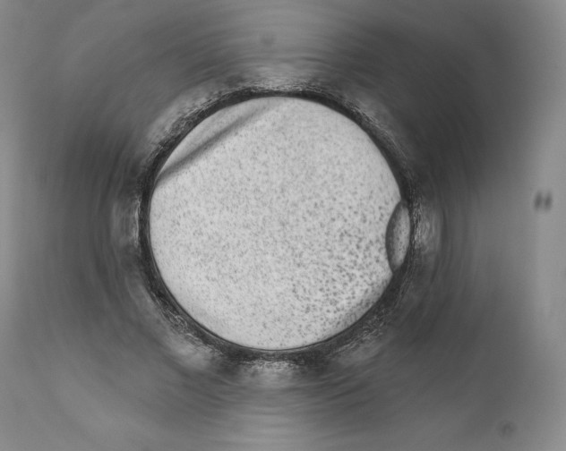 X0000110880685200907161502