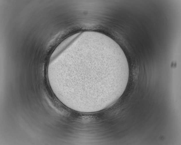 X0000110880686200907161502