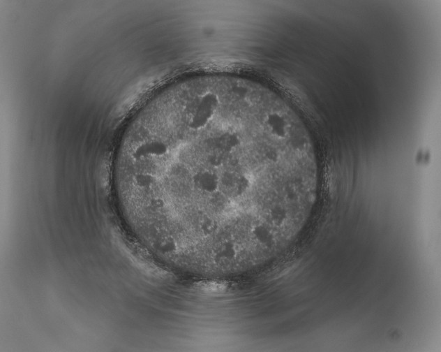 X0000110880687200907161502