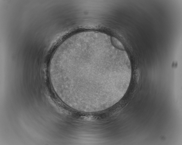 X0000110880688200907161502