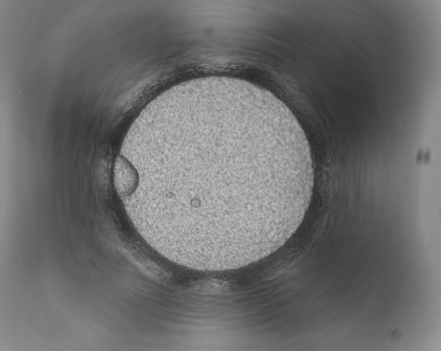 X0000110880691200907161502