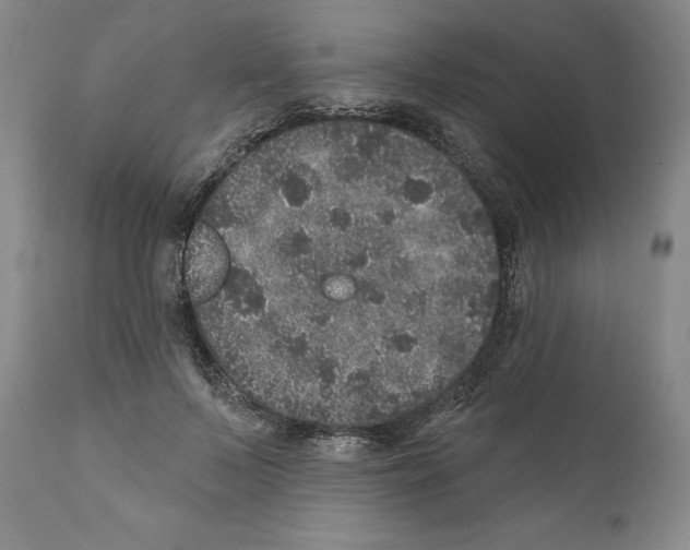 X0000110880695200907161502