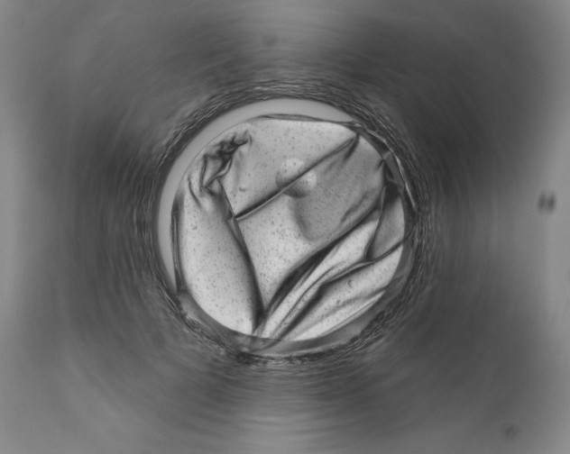 X0000110880697200907161502