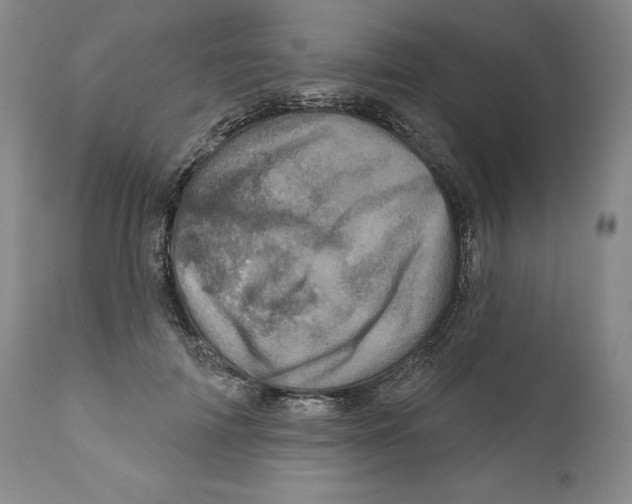 X0000110880698200907161502