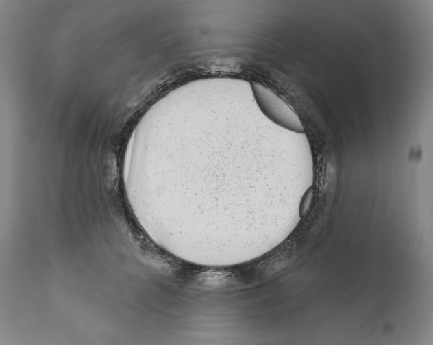 X0000110880704200907161502