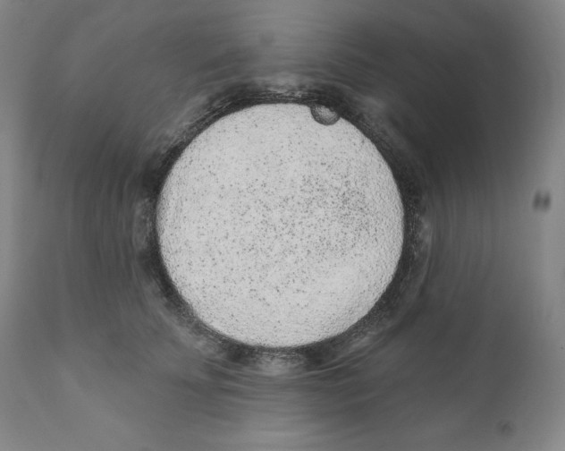 X0000110880707200907161502