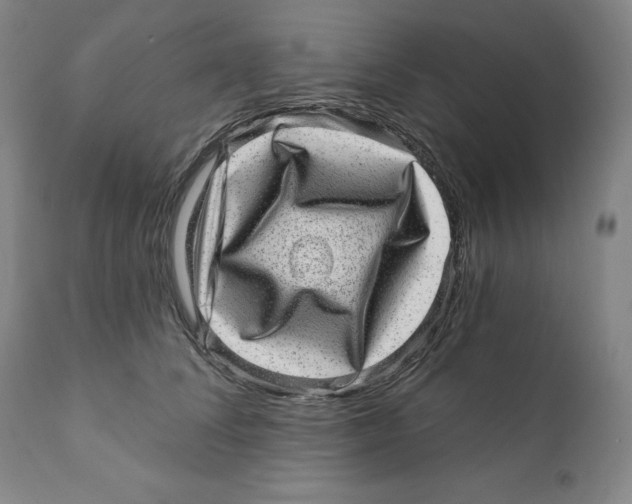 X0000110880708200907161502